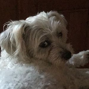 Meet your Posher, Becky